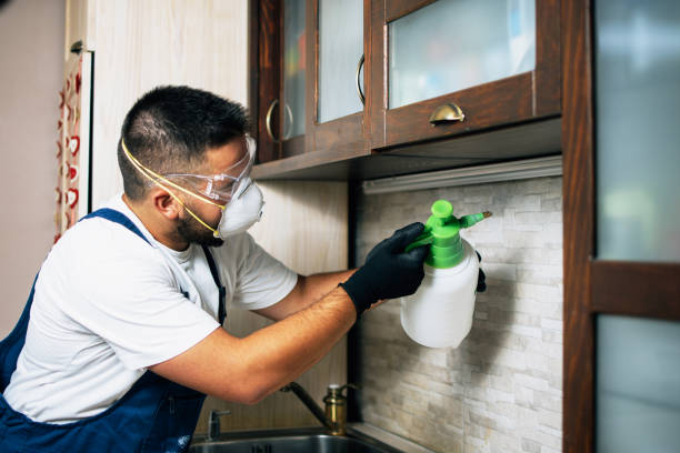 Best Pest Control Treatment  in USA